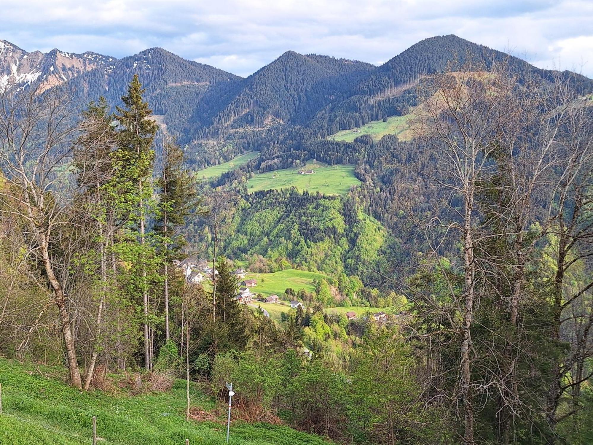 Wohnung Rheintal Im Alpenvorland Batschuns Exterior photo